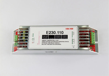 E230.110 electronic Bal...